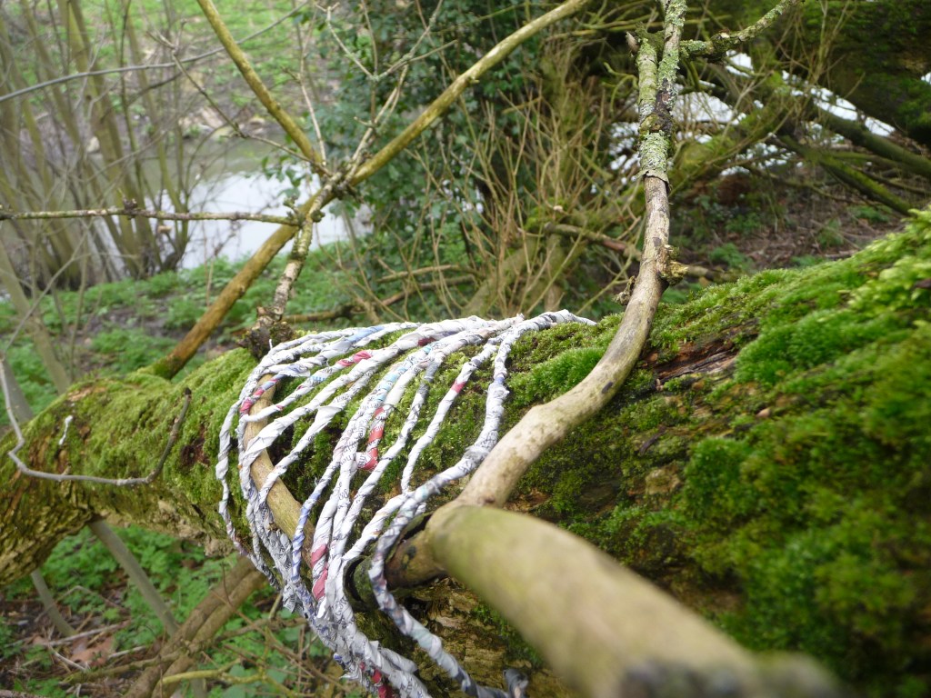 A photograph of yearn made of newspaper wrapped around the trunk of a mossy tree. 
