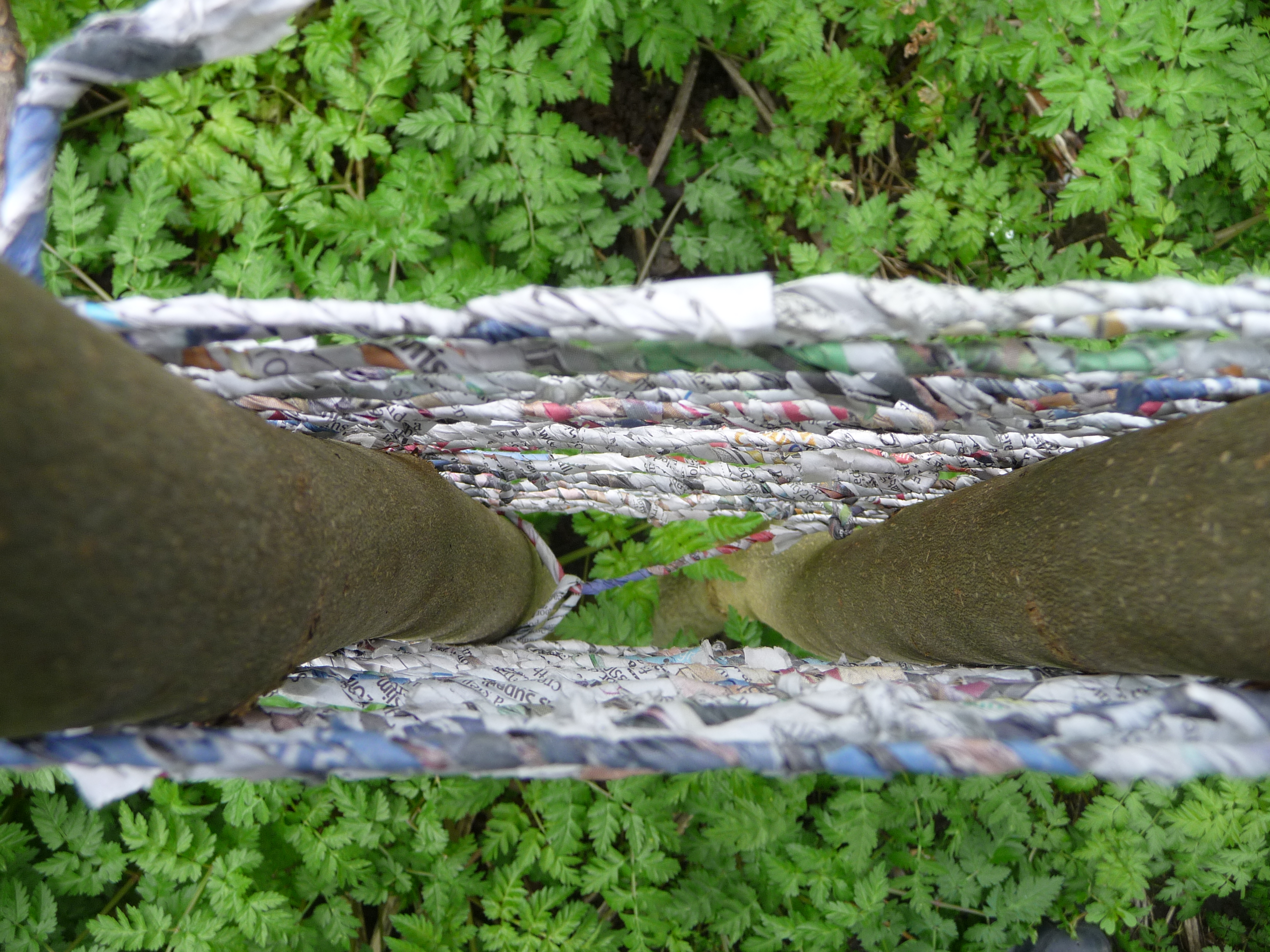 A photograph of newspaper yarn wrapped around two trees. The picture is taken from the top, looking into the space between the trees and the yarn.  